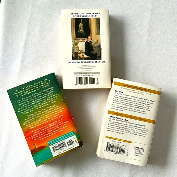 3 Novels by Bestselling Authors: Danielle Steel, Susan Wiggs and Sheryl Woods. - Picture 2 of 8